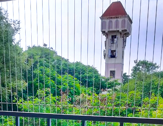 Fixpro Bird Netting Image